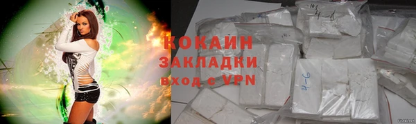 крисы Няндома