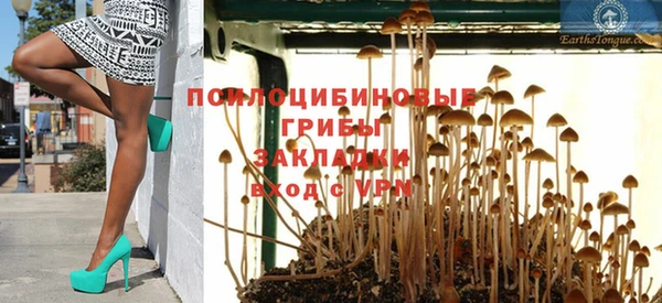 спайс Нягань