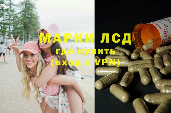 спиды Михайловка